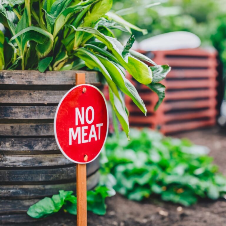 no meat sign near compost bin