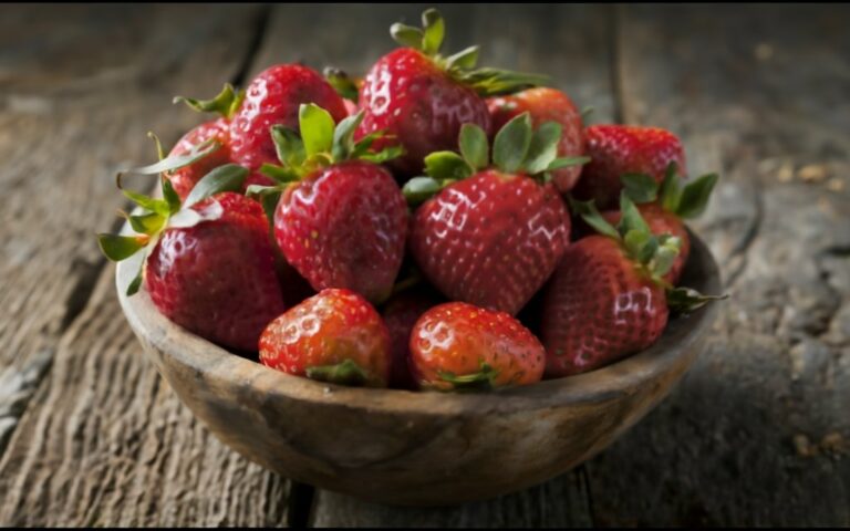growing strawberries for beginners